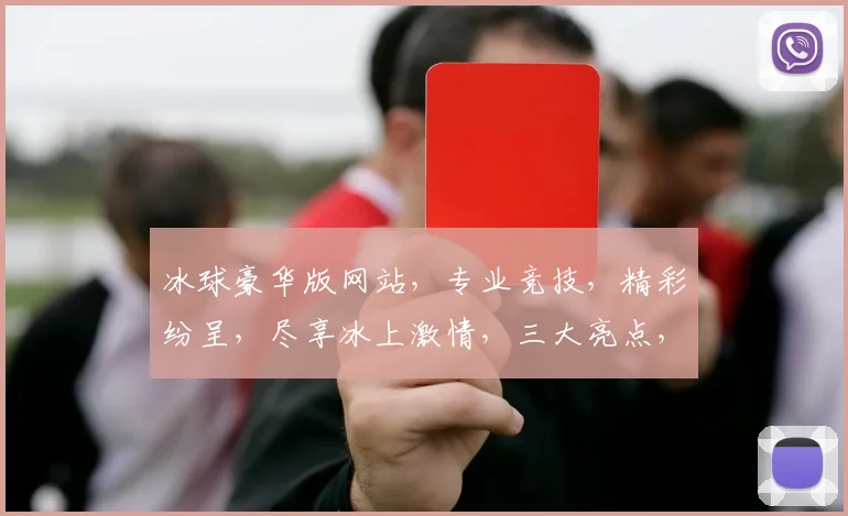 冰球豪华版网站，专业竞技，精彩纷呈，尽享冰上激情，三大亮点，不容错过，体验非凡