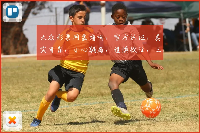 大众彩票网靠谱吗，官方认证，真实可靠，小心骗局，谨慎投注，三个注意点
