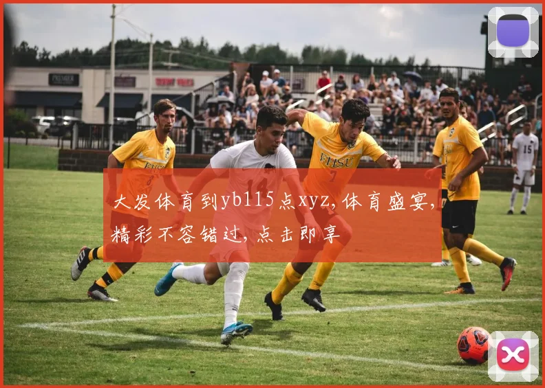 大发体育到yb115点xyz,体育盛宴,精彩不容错过,点击即享