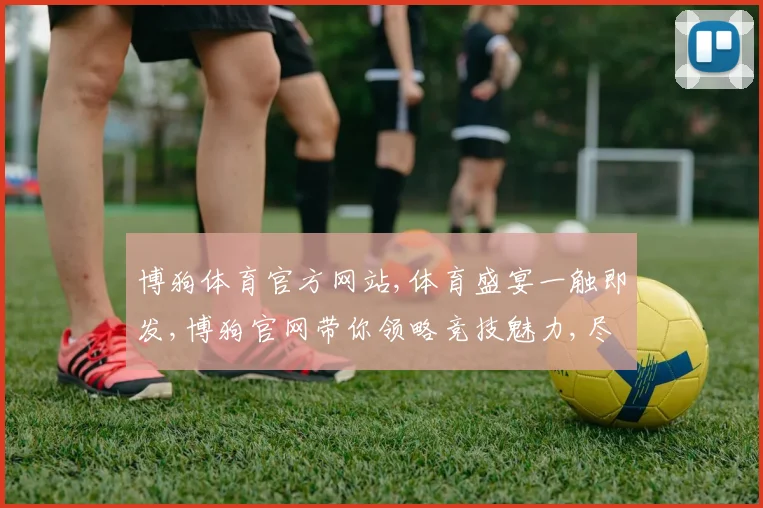 博狗体育官方网站,体育盛宴一触即发,博狗官网带你领略竞技魅力,尽享精彩赛事